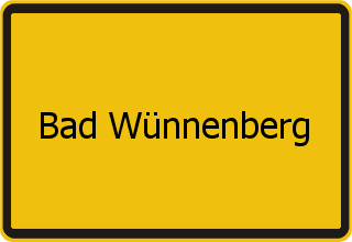 Gebrauchtwagen verkaufen Bad Wünnenberg