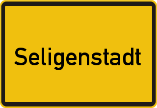 Auto verkaufen Seligenstadt